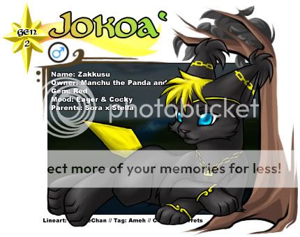 User Image